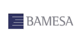 Bamesa